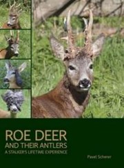Roe Deer and their Antlers - Scherer